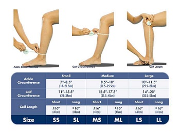 Ted Knee High Size Chart