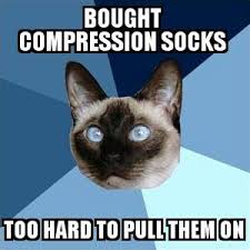 funny cat meme about compression socks