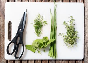 Kitchen scissors