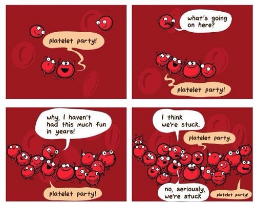 a joke about blood cells being trapped in the vein valves