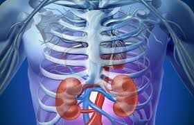 How to treat kidney failure