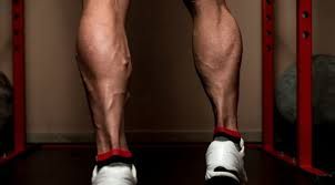 Muscled large calves