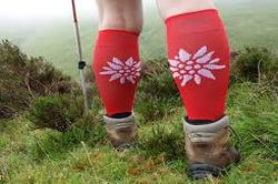 Stretchy Stockings for Women