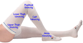 The Various Level of Ted Compression Socks