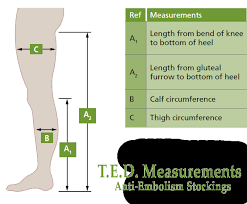 ted hosiery sizing guide