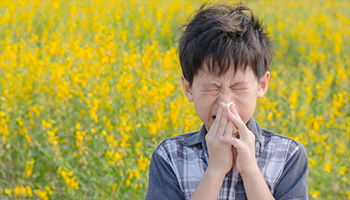 Picture of a child sneezing in a field of flowers. Plants are pollen generators. Pollen is higher during certain weather conditions, but pollen is almost always present. The only way to filter pollen is to use air filters that can remove small pollen particles. We recommend a HEPA filter from a name brand company like Coconut Air, IQair Atem, Nuvomed, GoPure, or Philips. Our top pick is Coconut Air because it has 2 HEPA filters, a 12.80 mm Activated Carbon (Charcoal) filter in the middle, plugs into your usb ports, and is silent. For pollen removal it's very well reviewed.