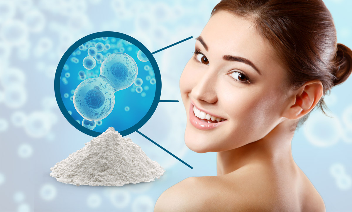 The 10 Best Collagen Powder Supplements