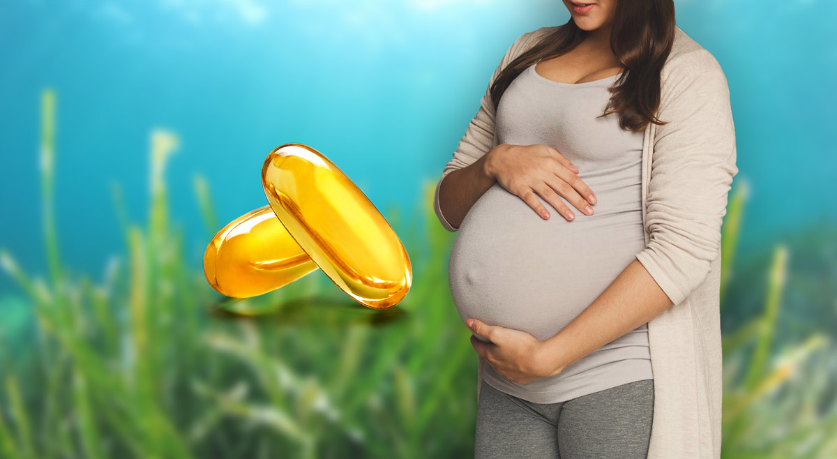 Best DHA Supplement for Pregnancy