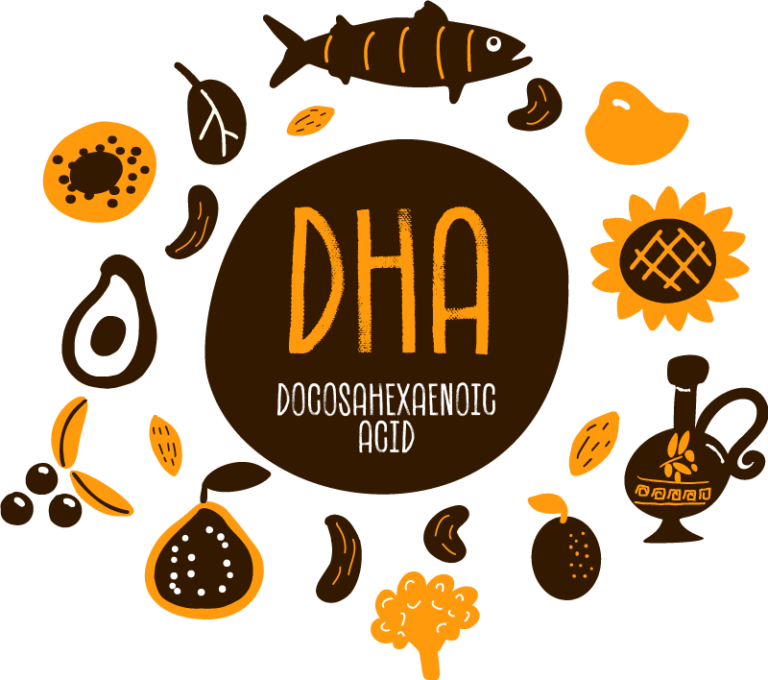 Best DHA Supplement for Pregnancy Is it to Take?