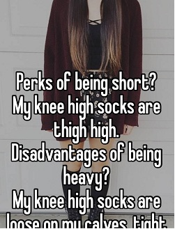 funny meme about knee Highs and thigh highs compression socks