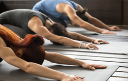 women-doing-yoga-on-yoga-mats-bended