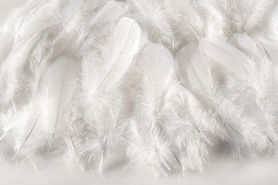 Down feathers from young birds are what used to make duvets unique. These days, duvets can be made from synthetic materials.