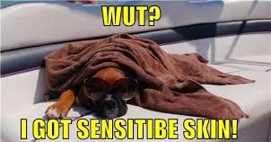 funny dog meme about sensitive skin
