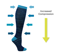 An image showing varying pressure along the length of a compression hosiery