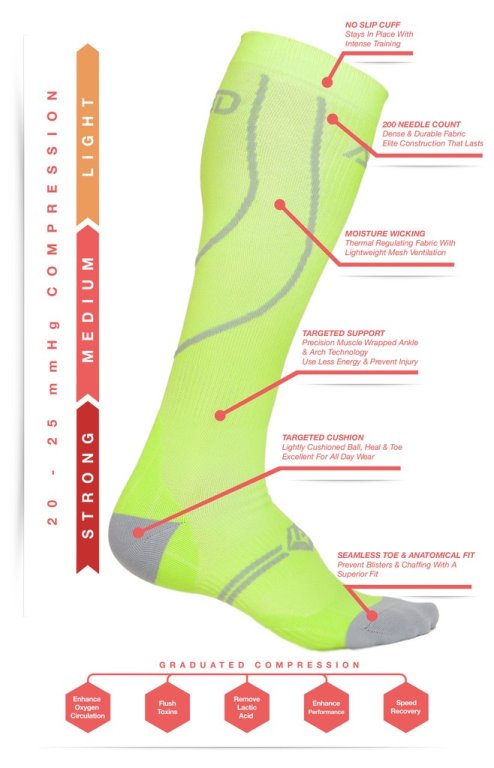Image of how blood circulates through 20-25 mmHg compression socks