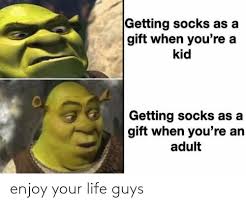 funny Shrek meme about socks