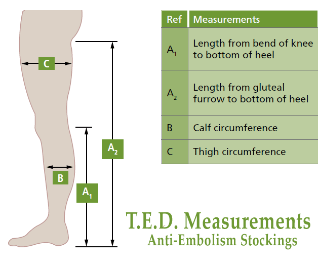 Image showing How Ted compression stocking work