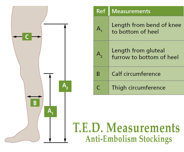 Ted Compression Size Chart